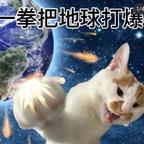 乐骟 好施头像