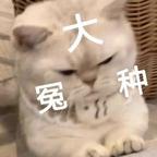 平台别当我是sb头像