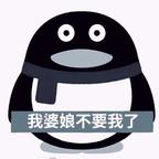 宝见，受你。头像