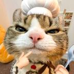 🐟头像