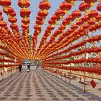 兔子快跑，乌龟追上来头像
