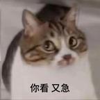更新慢的还不如看同IP头像