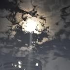 随心所欲头像
