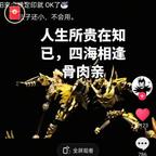 我有一壶酒，足以慰风头像