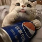 钰雨头像
