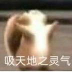 红豆馅好吃不头像