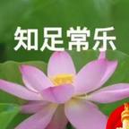 轮椅复仇者龙先生头像