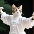 功夫猫短剧头像