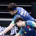 🦈and🦁头像