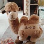 心如止水头像