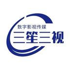 三笙三视头像