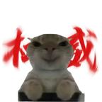 莫急急头像