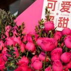 小元宝头像