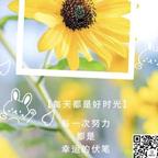 山野橘香的小凡子头像