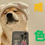 Idon'tcare🐝头像
