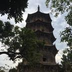 御天静雅头像