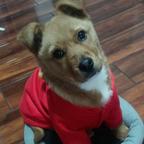 涅槃头像