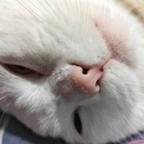 79头像