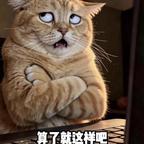 听说你很有意思头像