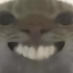 我是鼠鼠头像