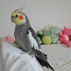 Mr、干中学头像