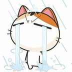 春枝头像