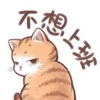 鸿轩头像