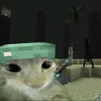 我不是外星猫头像