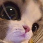 不谈头像