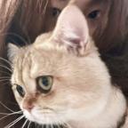 不关李事头像