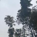 我是杠精想杠就杠头像