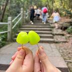 一蓑风雨任平生。。。头像