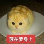 菠萝不要再咬我了头像