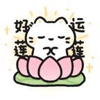 是蓝莓啊！头像