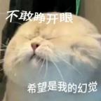 重生之刷剧就加修为头像