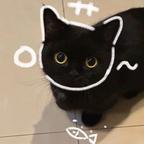 听风头像