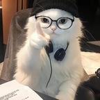 猪猪不皮、头像