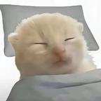 饼饼饼_头像