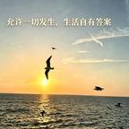 森棋头像