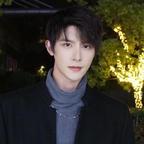 朱鸽想白白头像
