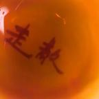 乌啼隐杨花头像