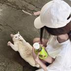 🍏头像