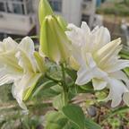 用户名5596489头像