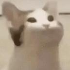 慕头像
