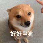 神秘事件目击者顾淮焉头像
