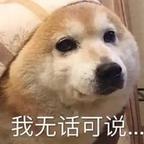 月亮不睡🌙头像