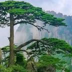 房明浩头像