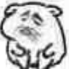 快快更新下一季头像