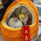 往事如风123头像