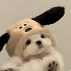 苏清颜头像